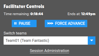 The Facilitator panel